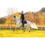 LeMieux Sottosella Suede saltando Navy/Cranberry LeMieux Sottosella Suede saltando Navy/Cranberry