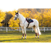 LeMieux Sottosella Suede saltando Navy/Cranberry LeMieux Sottosella Suede saltando Navy/Cranberry