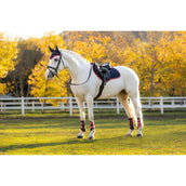 LeMieux Sottosella Suede saltando Navy/Cranberry LeMieux Sottosella Suede saltando Navy/Cranberry