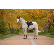 LeMieux Sottosella Loire Classic saltando Navy/Cranberry LeMieux Sottosella Loire Classic saltando Navy/Cranberry