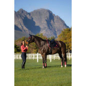 LeMieux Sottosella Loire Classic Dressage Navy/Cranberry LeMieux Sottosella Loire Classic Dressage Navy/Cranberry