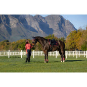 LeMieux Sottosella Loire Classic Dressage Navy/Cranberry LeMieux Sottosella Loire Classic Dressage Navy/Cranberry