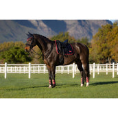LeMieux Sottosella Loire Classic Dressage Navy/Cranberry LeMieux Sottosella Loire Classic Dressage Navy/Cranberry