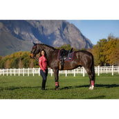 LeMieux Sottosella Loire Classic Dressage Navy/Cranberry LeMieux Sottosella Loire Classic Dressage Navy/Cranberry