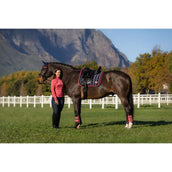 LeMieux Sottosella Loire Classic Dressage Navy/Cranberry LeMieux Sottosella Loire Classic Dressage Navy/Cranberry