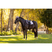 LeMieux Sottosella Merino Suede saltando Lilla LeMieux Sottosella Merino Suede saltando Lilla