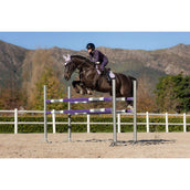 LeMieux Sottosella Merino Suede saltando Lilla LeMieux Sottosella Merino Suede saltando Lilla