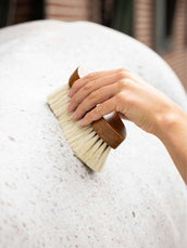 LeMieux Spazzole Artisan Deep Clean Dandy Marrone LeMieux Spazzole Artisan Deep Clean Dandy Marrone