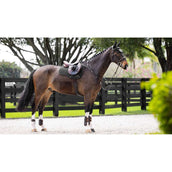 LeMieux Sottosella Prosorb Plain 2 Pocket Nero LeMieux Sottosella Prosorb Plain 2 Pocket Nero