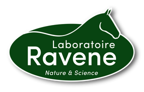 Ravene Ravene
