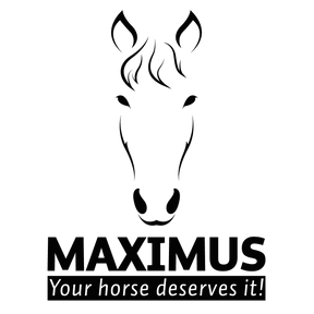 Maximus Maximus