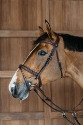 Dyon Briglia Flash Intrecciato Marrone Dyon Briglia Flash Intrecciato Marrone