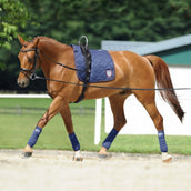 Passier Redini Laterali Horst Becker Nero Passier Redini Laterali Horst Becker Nero