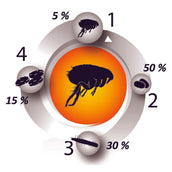 Pestigon Trattamento per Pulci Spot-On Pestigon Trattamento per Pulci Spot-On