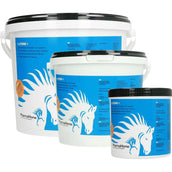 PharmaHorse L-Lisina PharmaHorse L-Lisina
