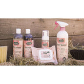 Ravene Lucentezza facile Ravene Lucentezza facile