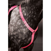 Equi-Flector by Shires Cuffietta Riflettente Fluor Roze Equi-Flector by Shires Cuffietta Riflettente Fluor Roze