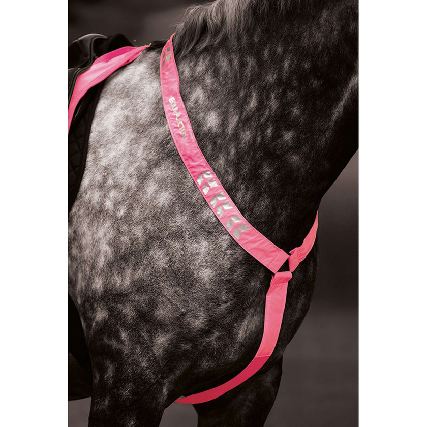 Equi-Flector by Shires Cuffietta Riflettente Fluor Roze Equi-Flector by Shires Cuffietta Riflettente Fluor Roze