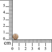 Sensipharm Inconti Stop - Piccoli animali domestici Sensipharm Inconti Stop - Piccoli animali domestici