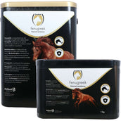 Excellent Fieno greco Excellent Fieno greco