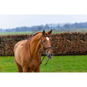 Trust Briglia Knokke Marrone/Argento Trust Briglia Knokke Marrone/Argento