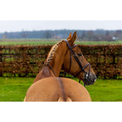 Trust Briglia Knokke Marrone/Argento Trust Briglia Knokke Marrone/Argento