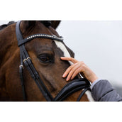 Trust Briglia Rotterdam Nero Argento Trust Briglia Rotterdam Nero Argento