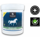 Synovium Cura del fango Synovium Cura del fango