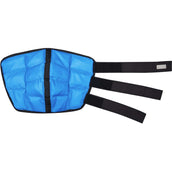 Waldhausen Health + Care Barca sul ghiaccio Gel Garretto Petrol Waldhausen Health + Care Barca sul ghiaccio Gel Garretto Petrol