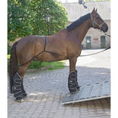 Waldhausen Linea Rimorchio Waldhausen Linea Rimorchio