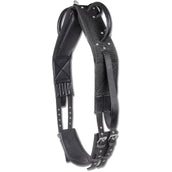 Waldhausen Cinghia da Lunging/Volteggio Nero Waldhausen Cinghia da Lunging/Volteggio Nero