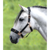 Waldhausen Cavezzone Rosé Nero Waldhausen Cavezzone Rosé Nero