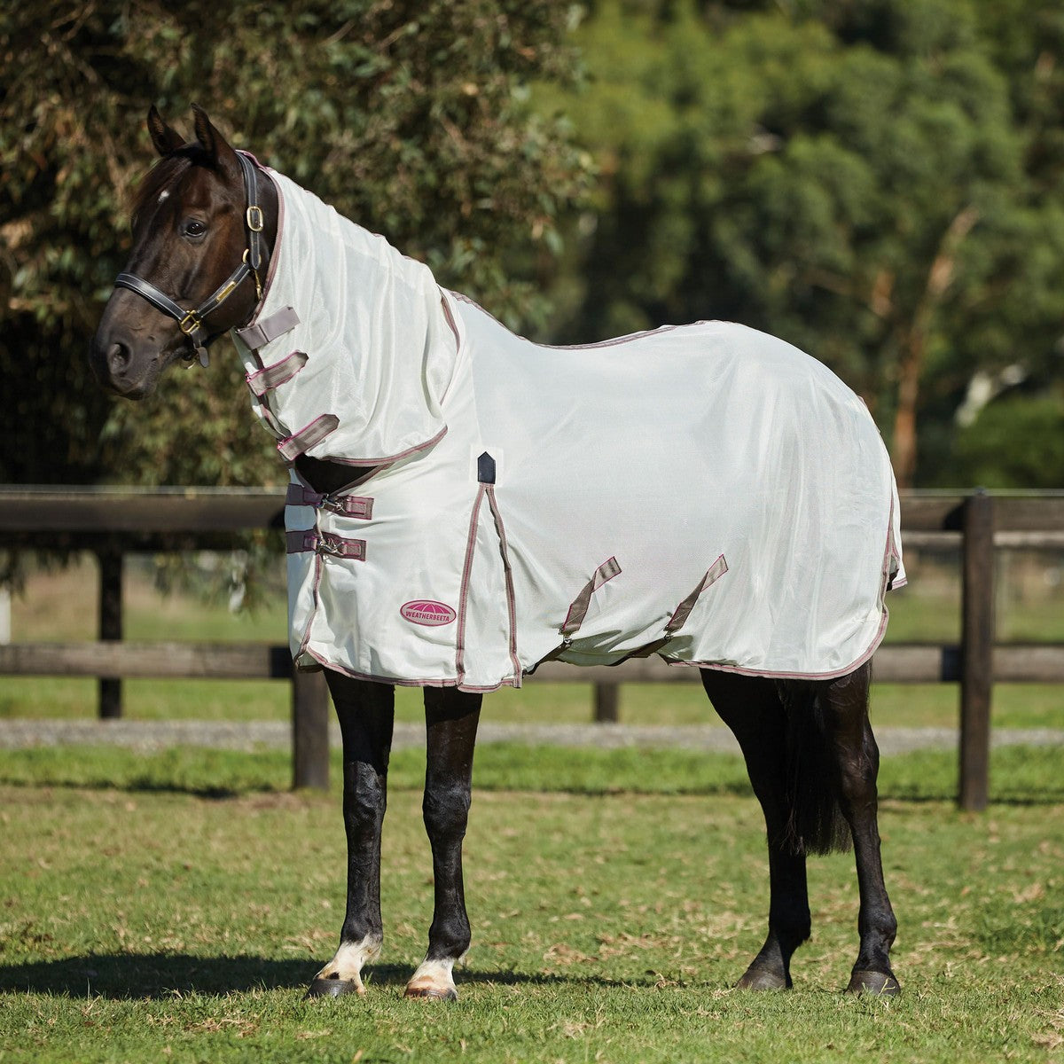 Weatherbeeta Comfitec Airflow II Combo Neck Bianco/Grigio scuro/Orchidea Weatherbeeta Comfitec Airflow II Combo Neck Bianco/Grigio scuro/Orchidea