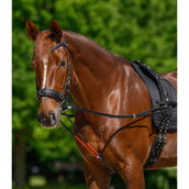 Waldhausen Redini W-Train Waldhausen Redini W-Train