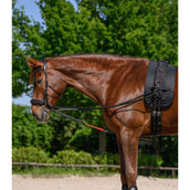 Waldhausen Redini W-Train Waldhausen Redini W-Train