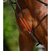 Waldhausen Redini W-Train Waldhausen Redini W-Train