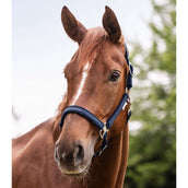 Waldhausen Capezzina Athletic Nightblue Waldhausen Capezzina Athletic Nightblue