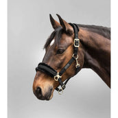 Waldhausen Capezzina Exclusive Nero Waldhausen Capezzina Exclusive Nero