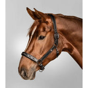 Waldhausen Capezzina Crystal Nero/Grigio Waldhausen Capezzina Crystal Nero/Grigio