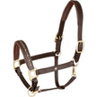 Marrone/Oro