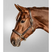 Waldhausen Capezzina Crystal Marrone/Oro Waldhausen Capezzina Crystal Marrone/Oro