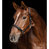 Waldhausen Capezzina S-Line Classy Nero Waldhausen Capezzina S-Line Classy Nero