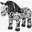 Appaloosa Dakota nera