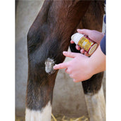 Kevin Bacon's Derma Protek Kevin Bacon's Derma Protek