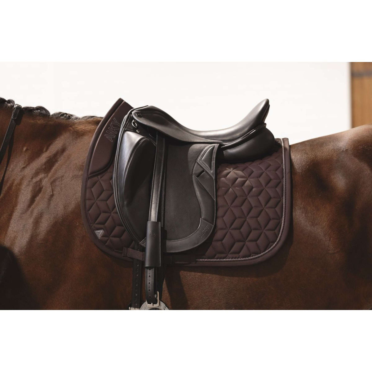 ANKY Sottosella AW25 Nylon Dressage Chocolate Torte ANKY Sottosella AW25 Nylon Dressage Chocolate Torte