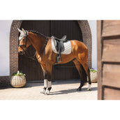 ANKY Stivali da dressage Proficient ATB261001 Island Fossil ANKY Stivali da dressage Proficient ATB261001 Island Fossil