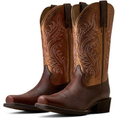 Ariat Stivali Western Round Up NcToe Donne Espresso Ariat Stivali Western Round Up NcToe Donne Espresso