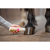 Bense & Eicke Olio naturale per zoccoli Bense & Eicke Olio naturale per zoccoli