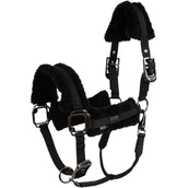 BR Capezzina AW25 Eevolv Jonne Meteorite BR Capezzina AW25 Eevolv Jonne Meteorite