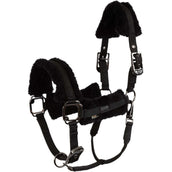 BR Capezzina AW25 Eevolv Jonne Meteorite BR Capezzina AW25 Eevolv Jonne Meteorite